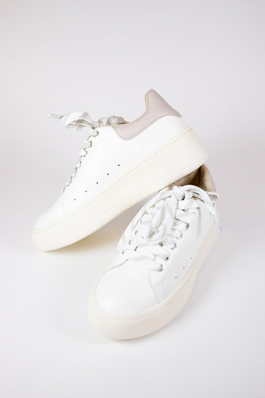 Sally Taupe Platform Sneaker