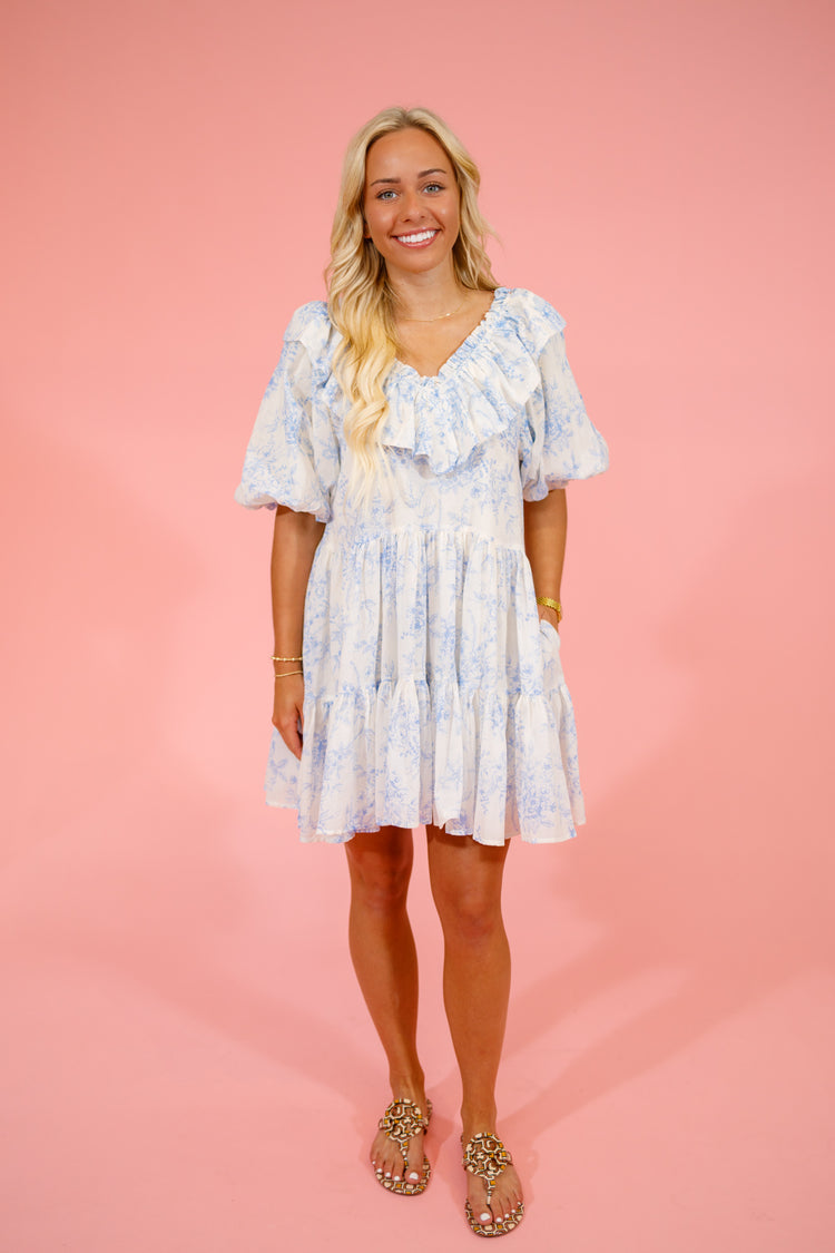 Baby Blue Floral Ruffle Dress