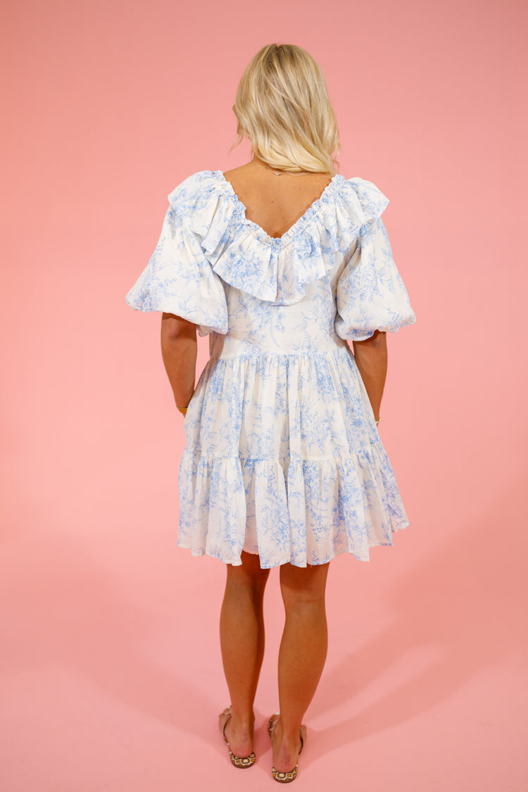 Baby Blue Floral Ruffle Dress